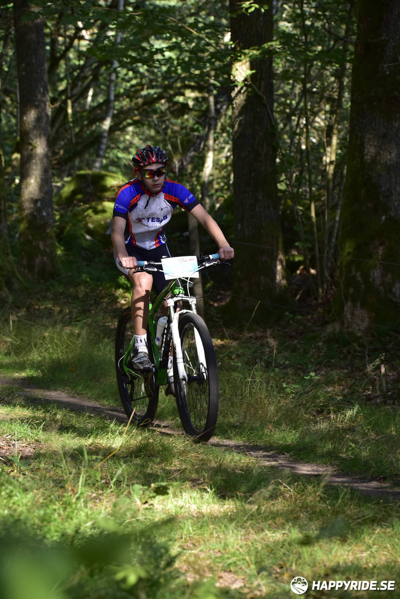 Bild från Bockstensturen 2019